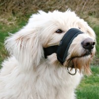 Bozal de lazo en nylon para entrenamiento de perros