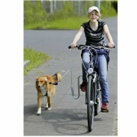 Muelle de bicicleta para perro