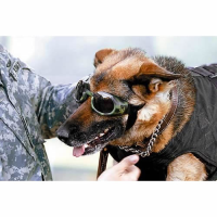 Gafas de sol para perros Doggles camuflaje