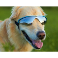 Gafas de sol para perros Doggles K9 Optix