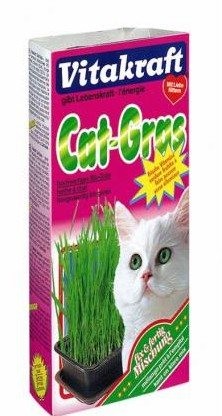 Cat grass hierba para gatos vitakraft - Paticas.es